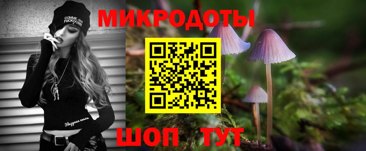 Волгоград  Галлюциногенные грибы MAGIC MUSHROOMS  Вход с VPN 